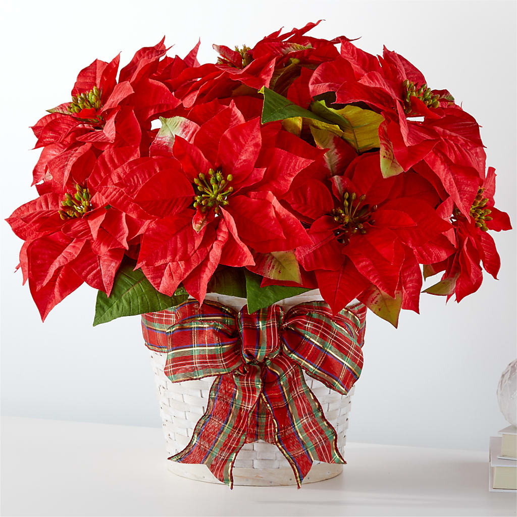 Happiest Holidays Poinsettia – Exquisite Flowers, Freeport FL