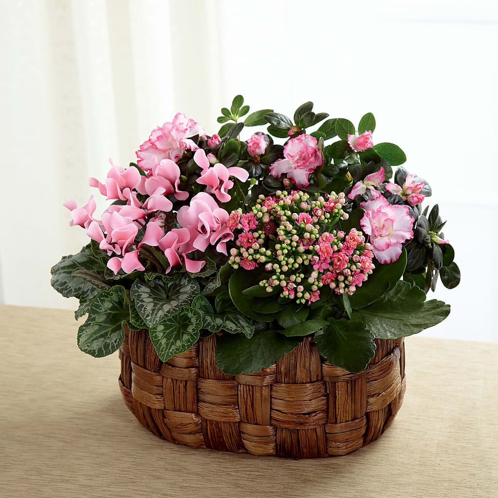 Pink Assortment – Exquisite Flowers, Freeport FL