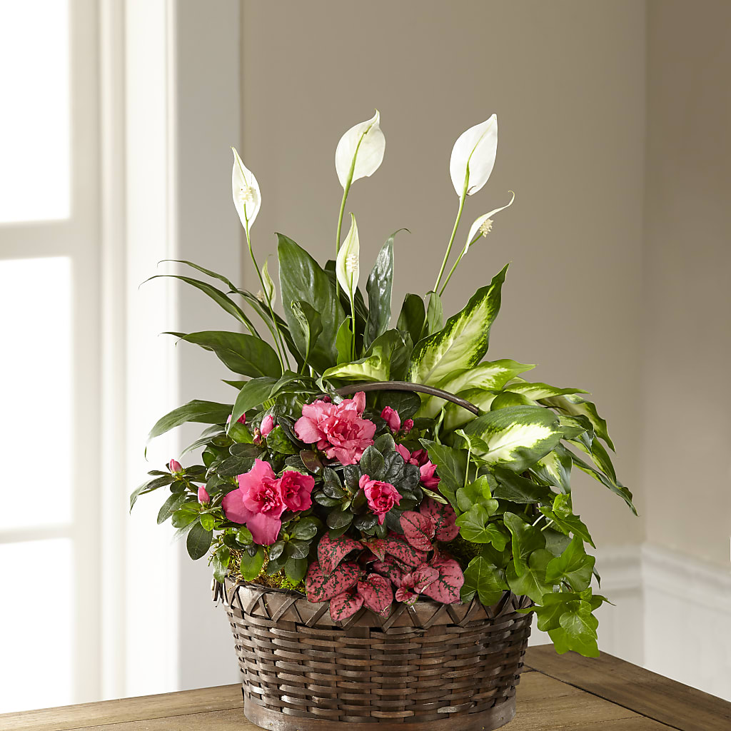 Dream in Pink Dishgarden – Exquisite Flowers, Freeport FL