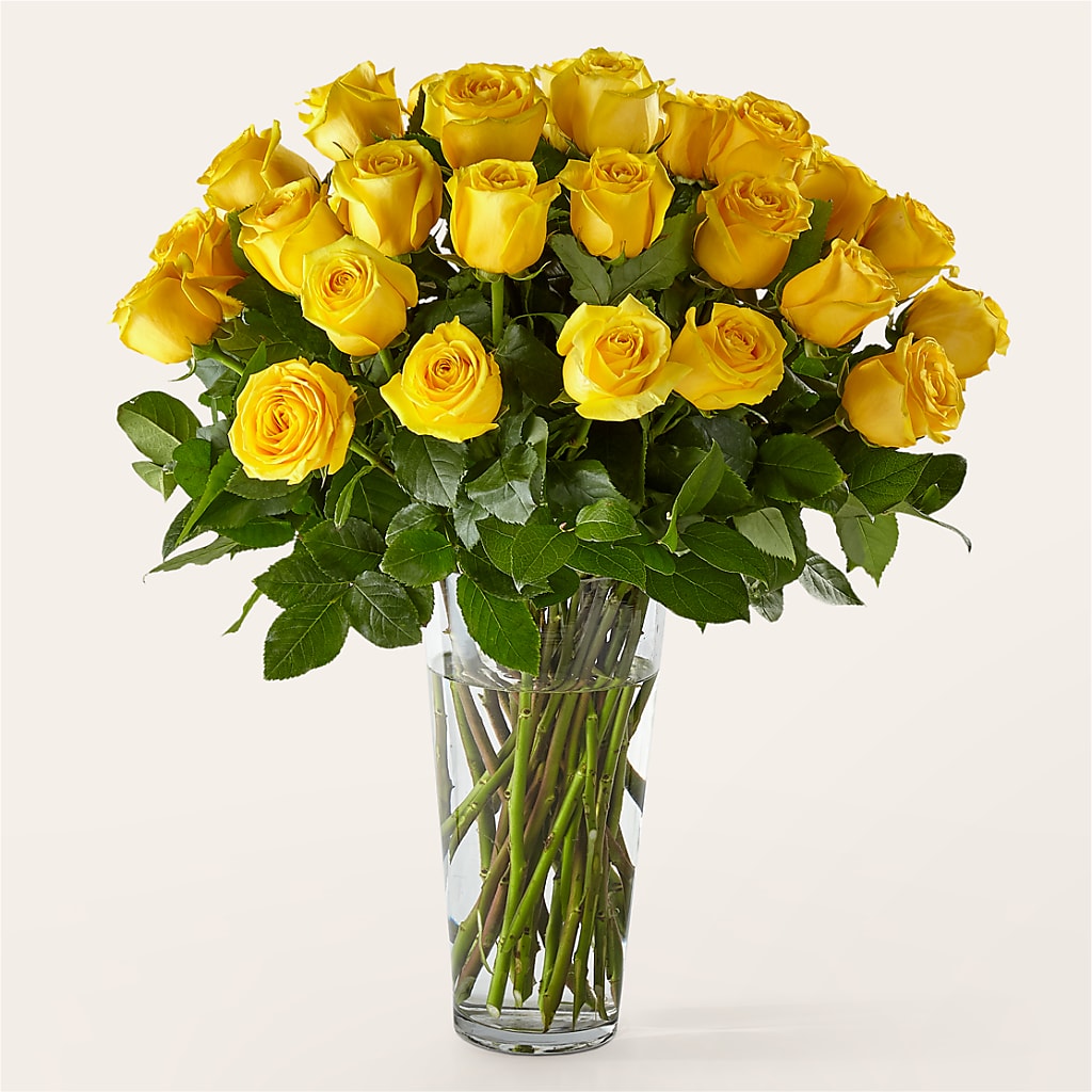 Long Stem Yellow Rose Bouquet – Exquisite Flowers, Freeport FL
