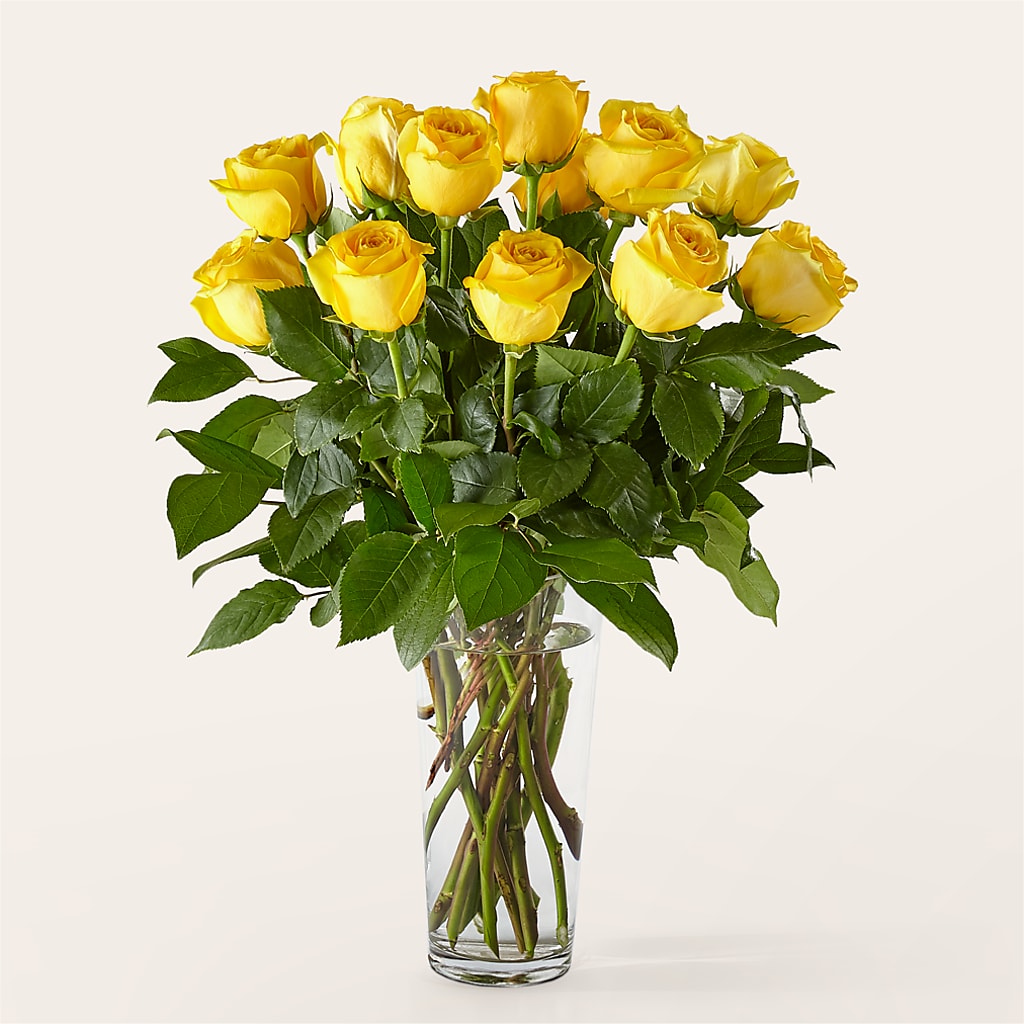 Long Stem Yellow Rose Bouquet – Exquisite Flowers, Freeport FL