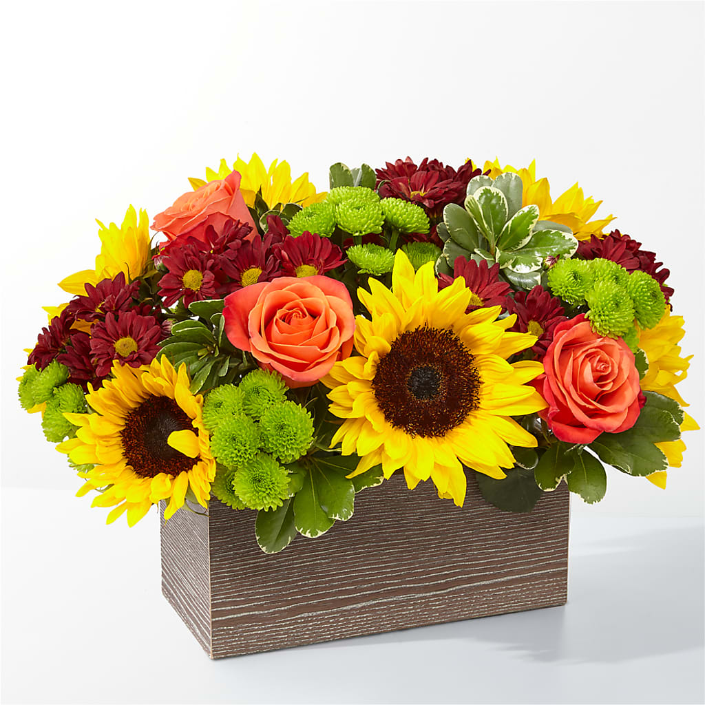 Happy Harvest Garden – Exquisite Flowers, Freeport FL