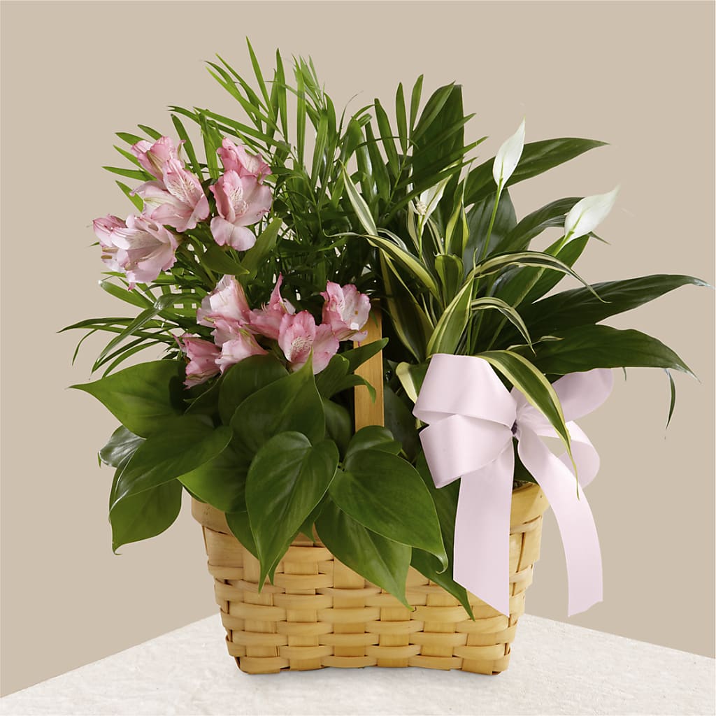 Living Spirit Dishgarden – Exquisite Flowers, Freeport FL