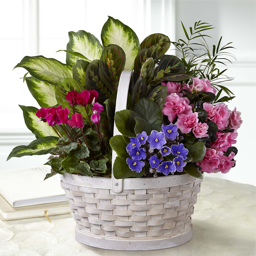 Peaceful Garden Planter – Exquisite Flowers, Freeport FL
