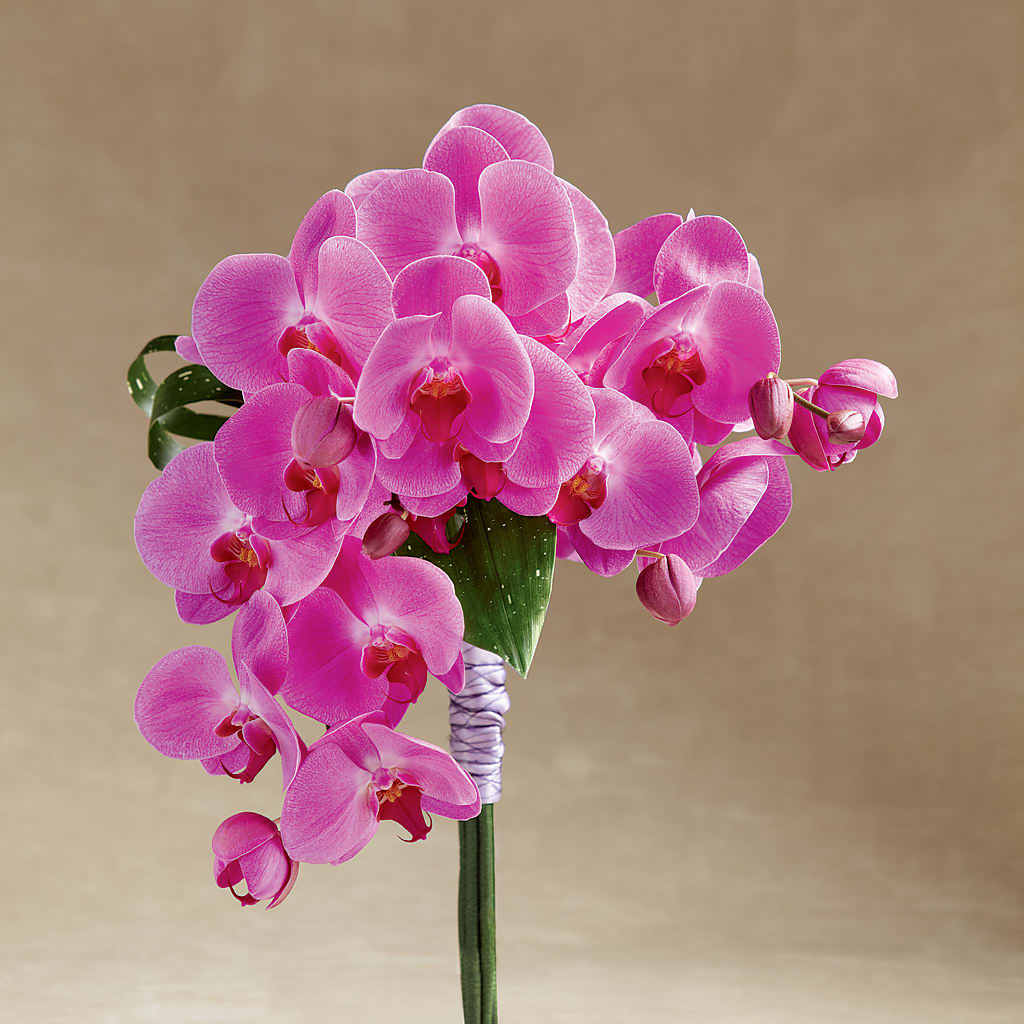 Glorious Bouquet – Exquisite Flowers, Freeport FL