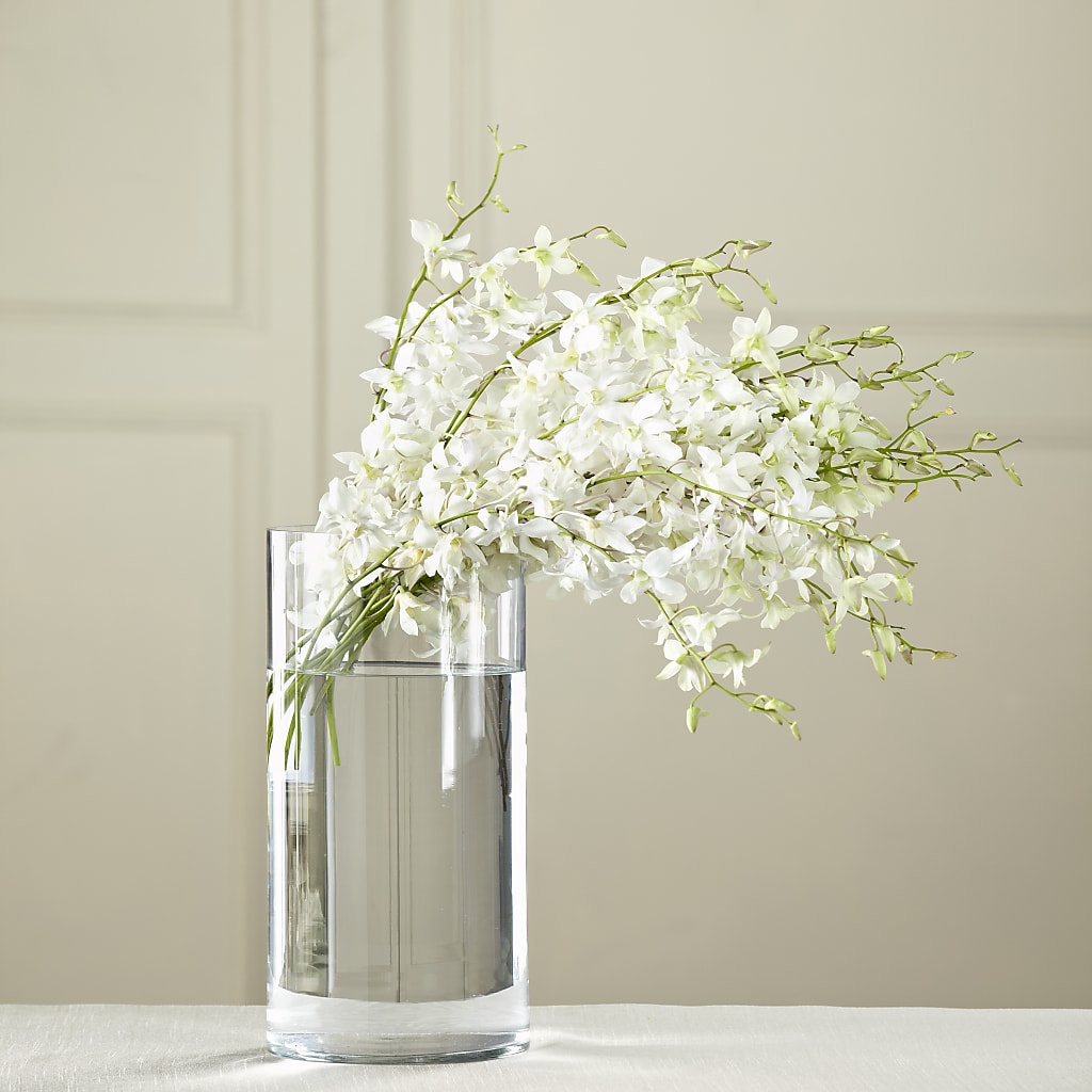 White Dendrobium Bouquet – Exquisite Flowers, Freeport FL