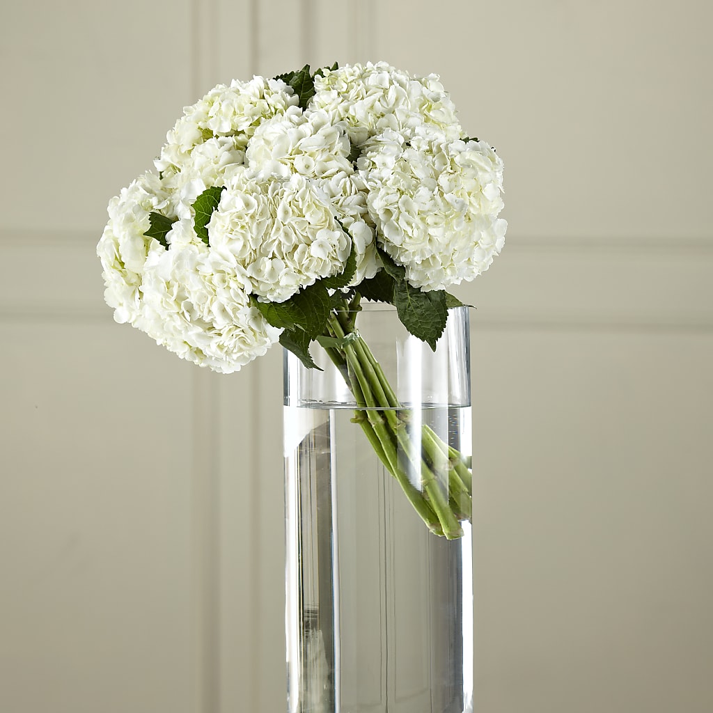 White Hydrangea Hand-Tied Bouquet – Exquisite Flowers, Freeport FL