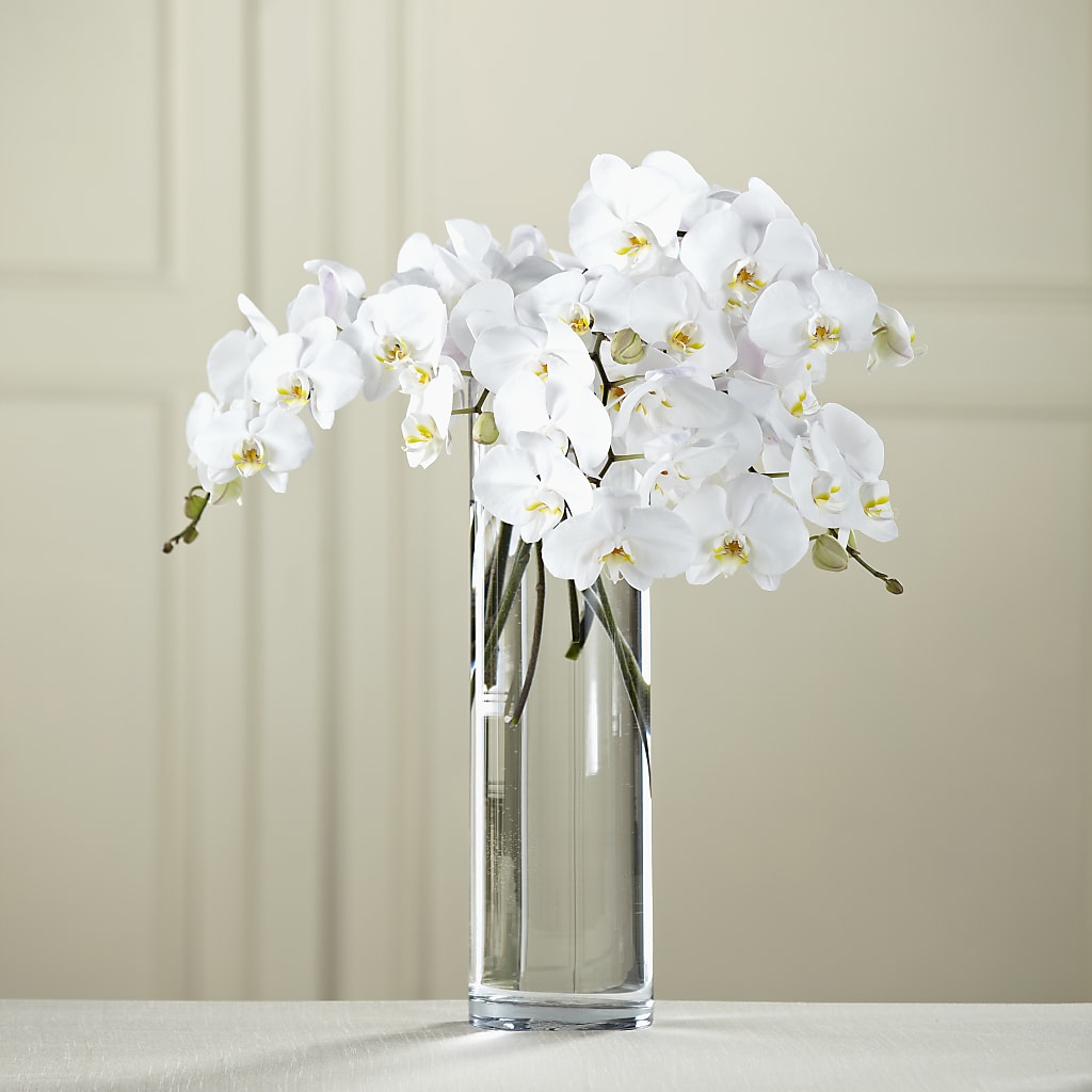 White Phalaenopsis Bouquet – Exquisite Flowers, Freeport FL