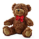 Adorable Plush Bear –  Exquisite Flowers, Freeport FL