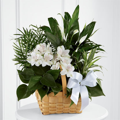 Peace & Serenity Dishgarden –  Exquisite Flowers, Freeport FL