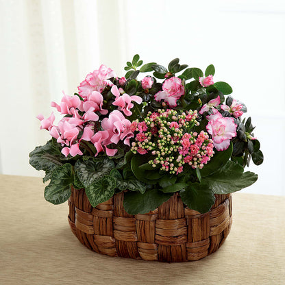 Pink Assortment –  Exquisite Flowers, Freeport FL
