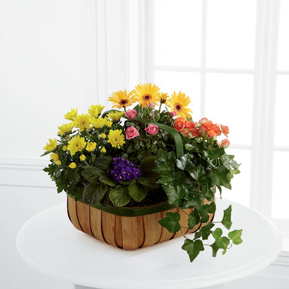Gentle Blossoms Basket –  Exquisite Flowers, Freeport FL