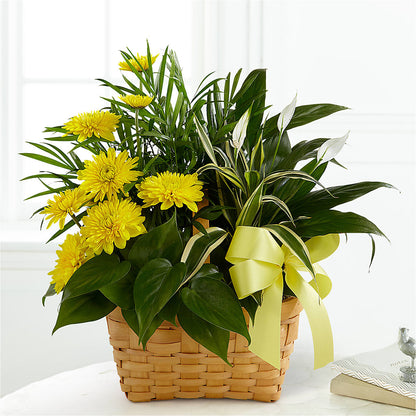 Loving Light Dishgarden –  Exquisite Flowers, Freeport FL