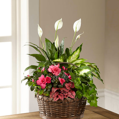 Dream in Pink Dishgarden –  Exquisite Flowers, Freeport FL