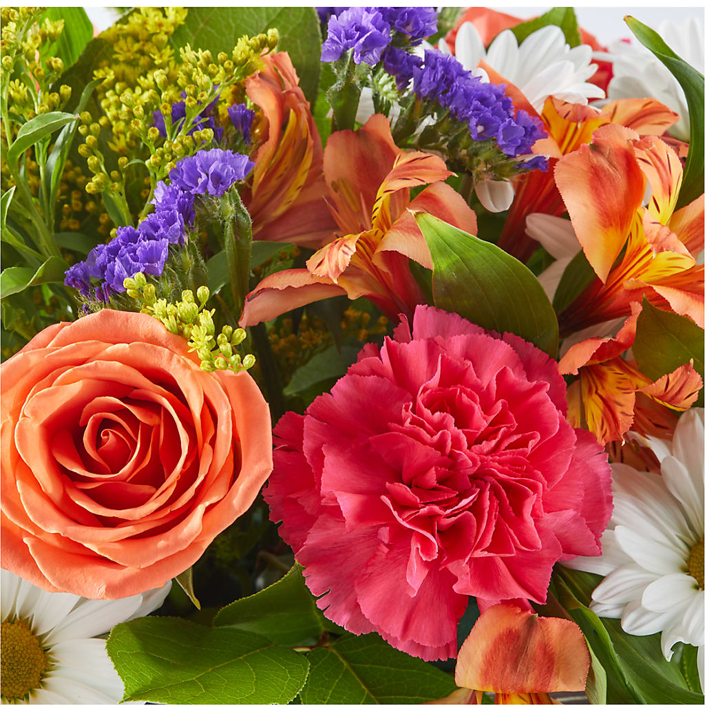 Oopsie Daisy Box Bouquet –  Exquisite Flowers, Freeport FL