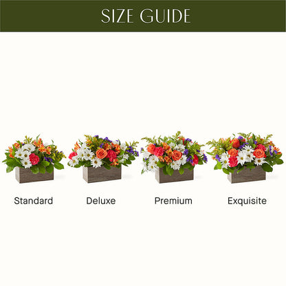 Oopsie Daisy Box Bouquet –  Exquisite Flowers, Freeport FL