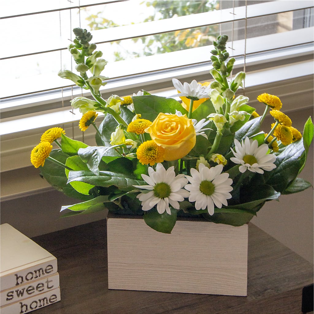 Sun Salutation Box Bouquet –  Exquisite Flowers, Freeport FL