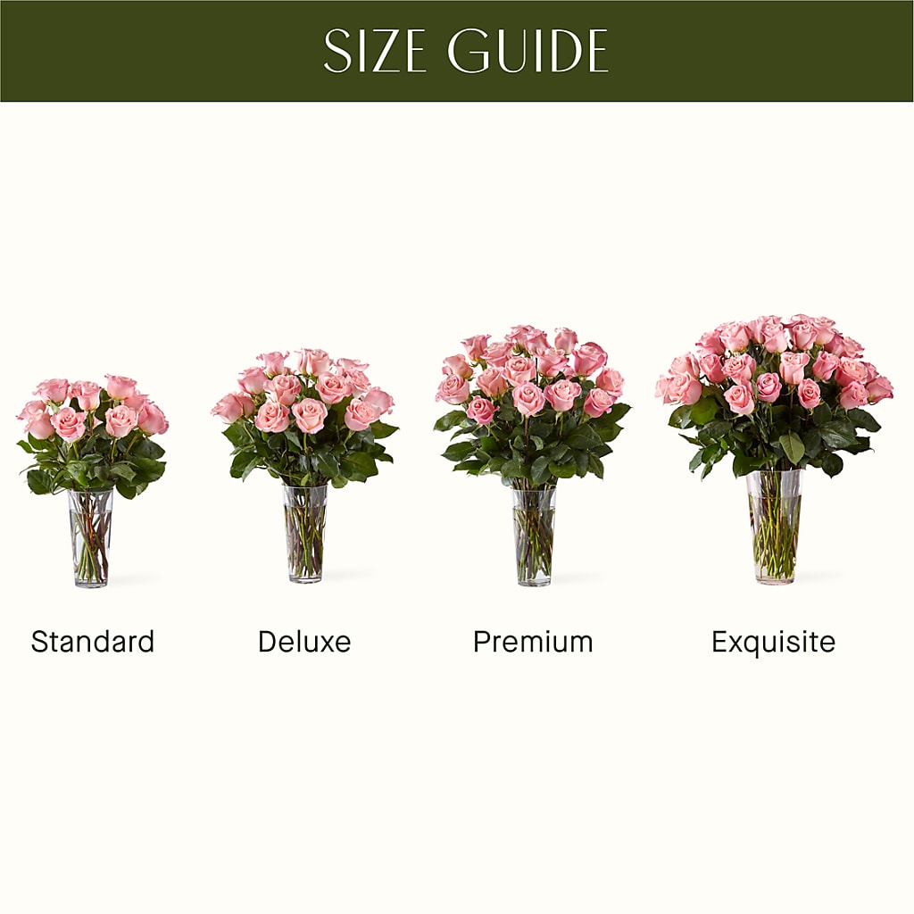 Long Stem Pink Rose Bouquet –  Exquisite Flowers, Freeport FL