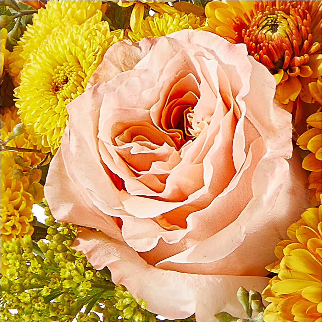 Peachy Pumpkin –  Exquisite Flowers, Freeport FL