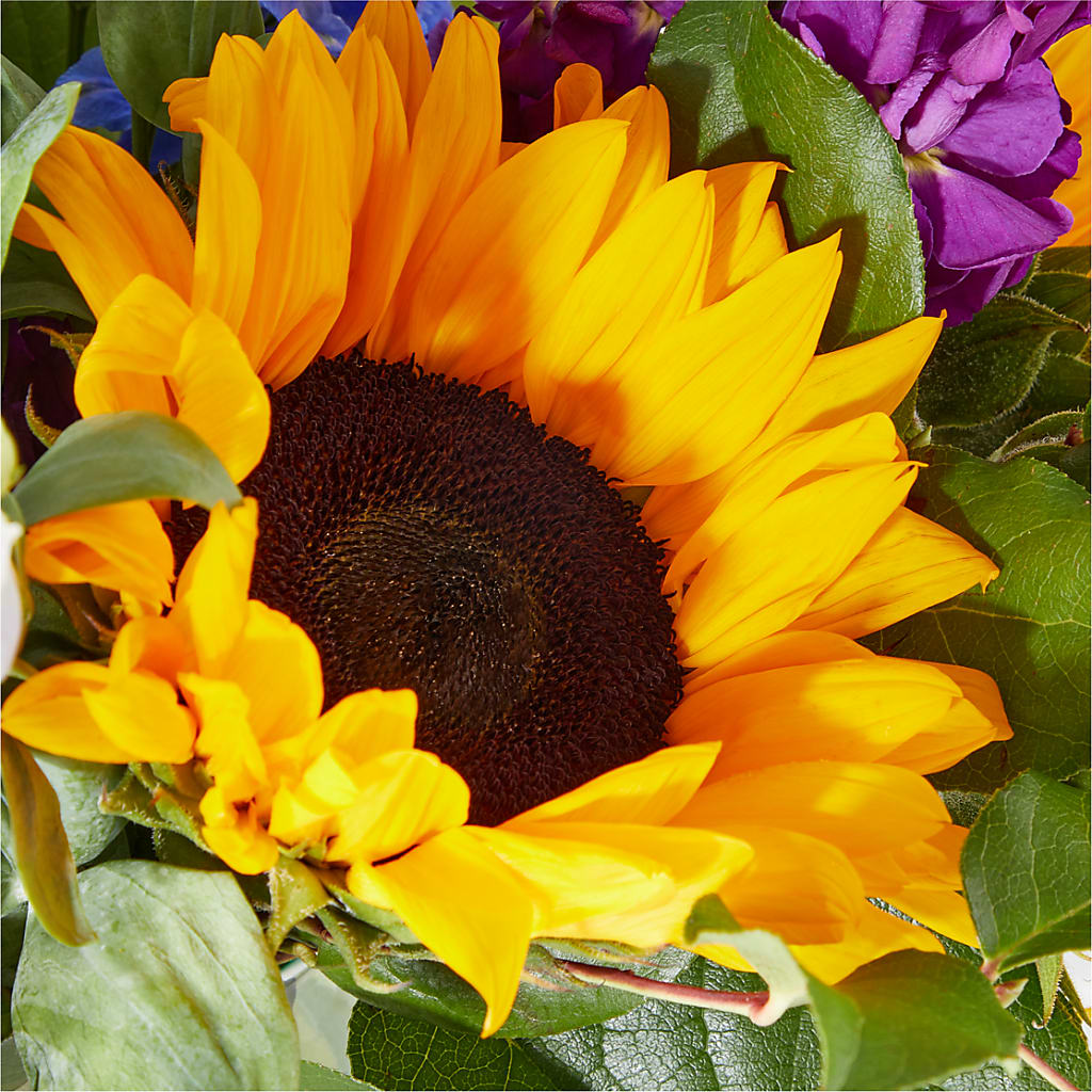 Catching Rays Bouquet –  Exquisite Flowers, Freeport FL