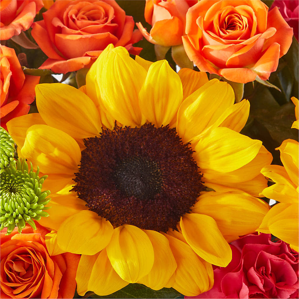 Sun-drenched Blooms Box Bouquet –  Exquisite Flowers, Freeport FL
