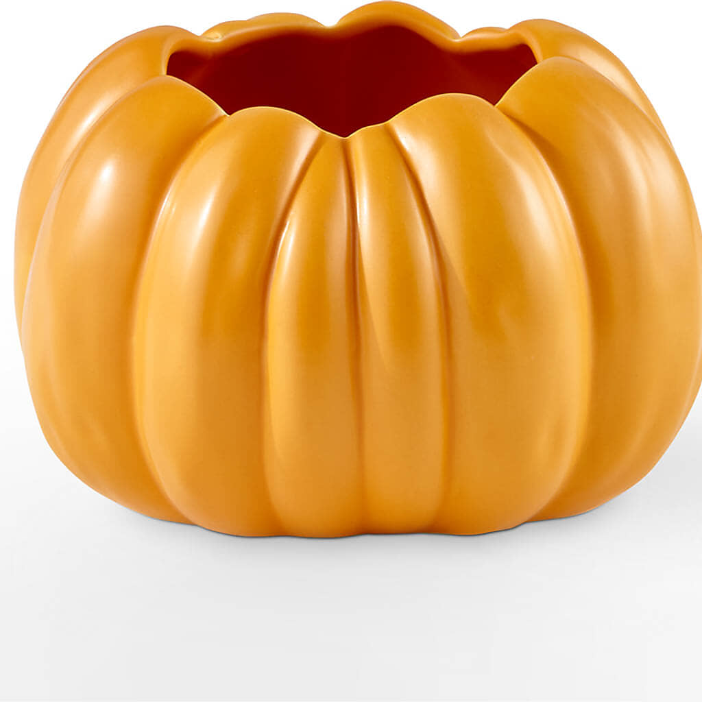 Golden Gourd Pumpkin Bouquet –  Exquisite Flowers, Freeport FL