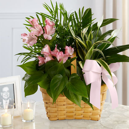 Living Spirit Dishgarden –  Exquisite Flowers, Freeport FL