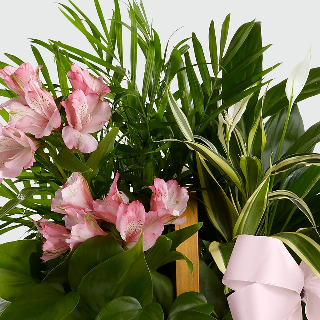 Living Spirit Dishgarden –  Exquisite Flowers, Freeport FL