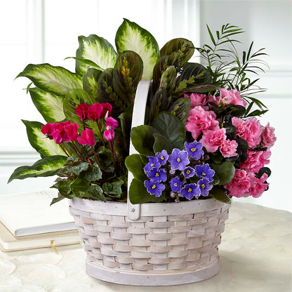 Peaceful Garden Planter –  Exquisite Flowers, Freeport FL