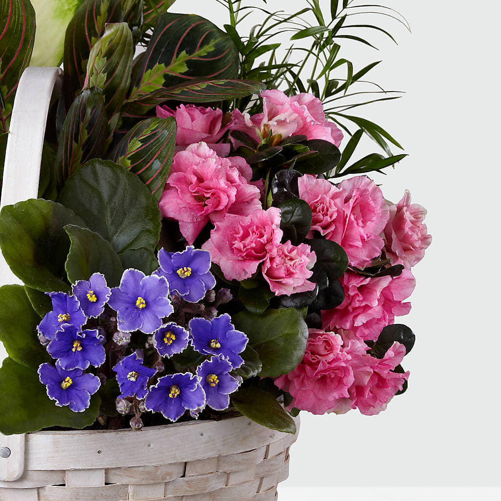 Peaceful Garden Planter –  Exquisite Flowers, Freeport FL