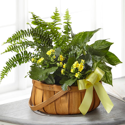 Always Dear Dishgarden –  Exquisite Flowers, Freeport FL