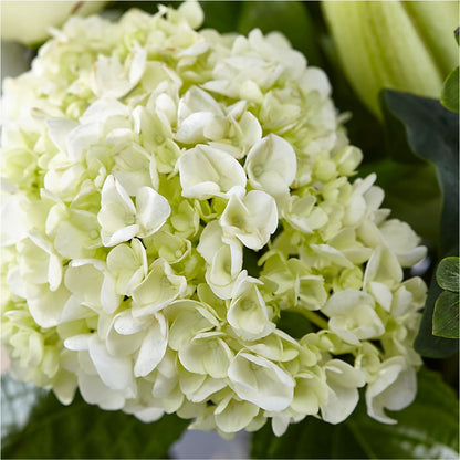 Classic Ivory – A Florist Original –  Exquisite Flowers, Freeport FL