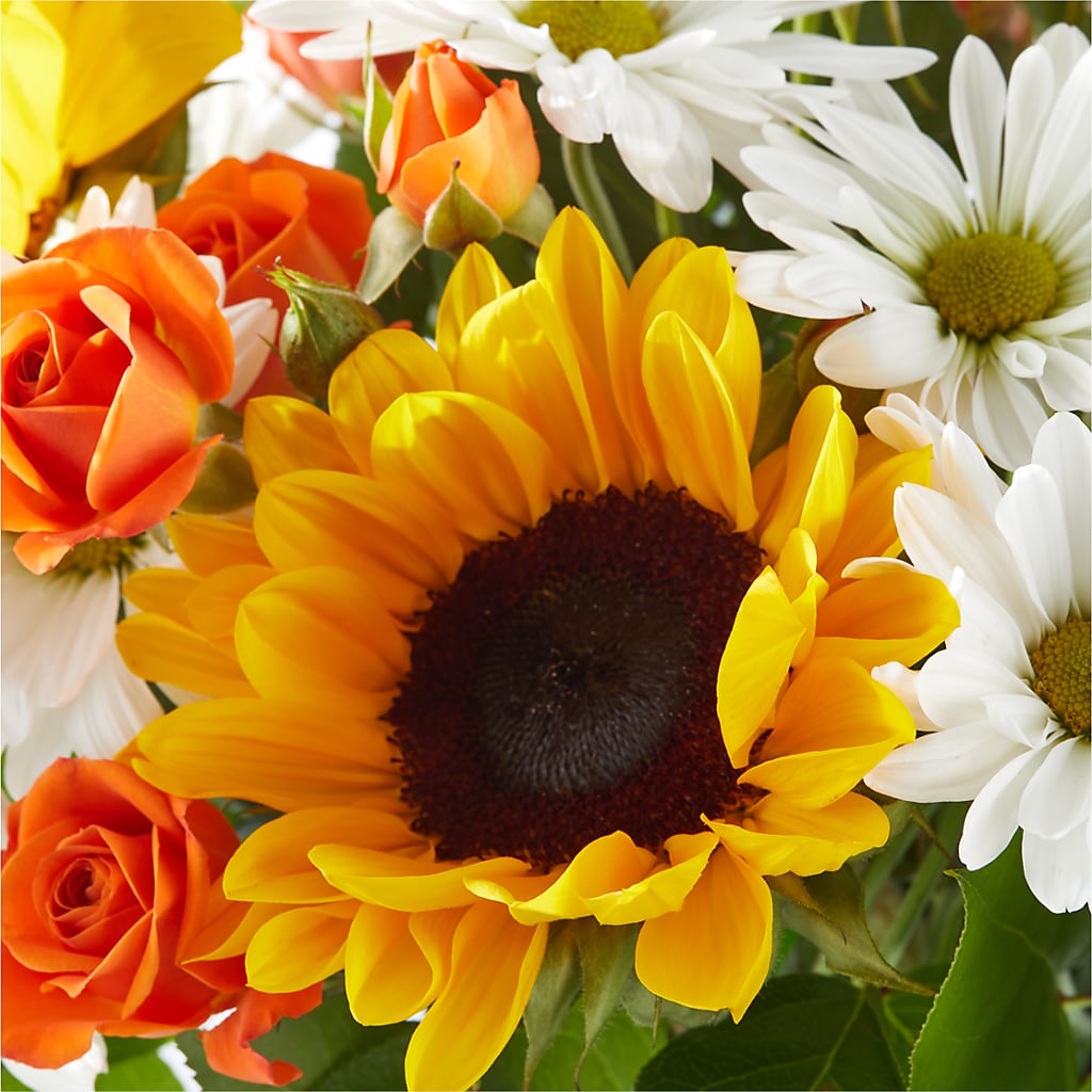 Sun-drenched Blooms Bouquet –  Exquisite Flowers, Freeport FL