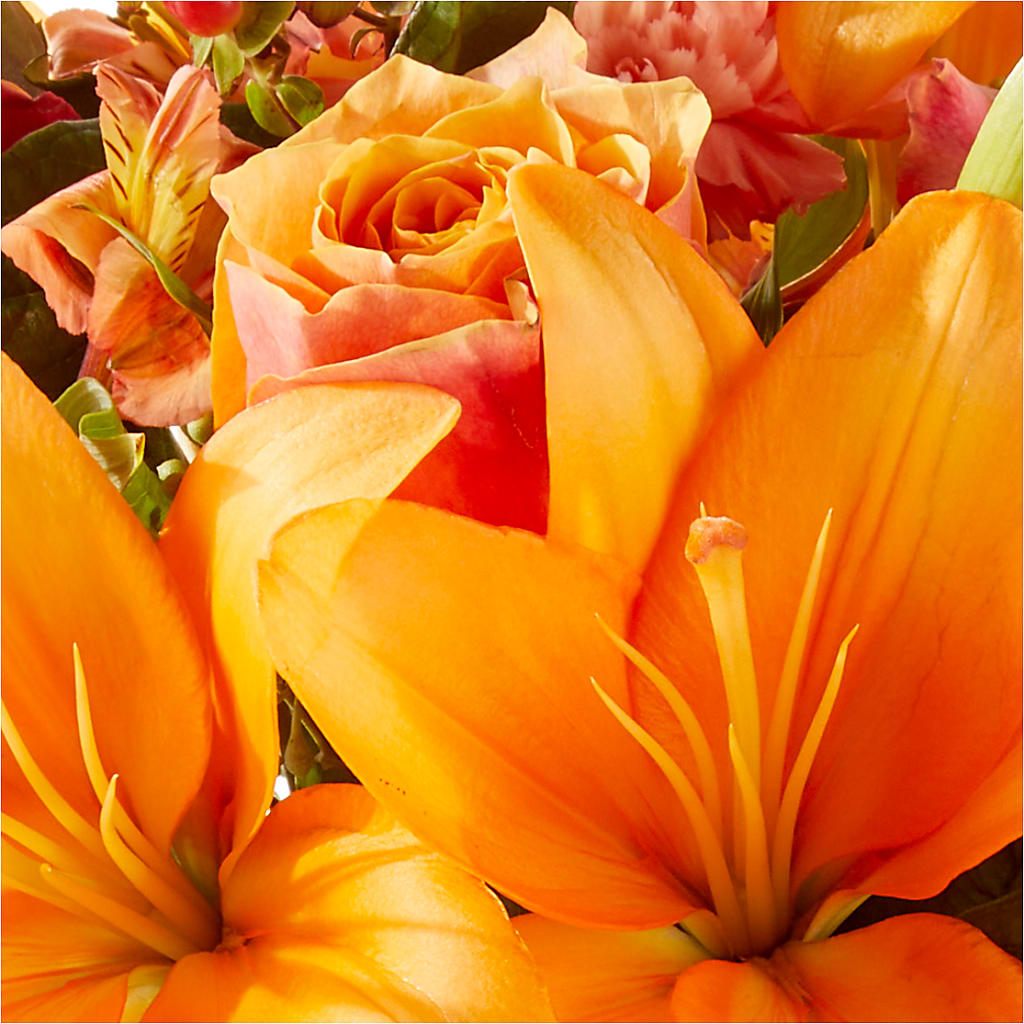 Afternoon Light Bouquet –  Exquisite Flowers, Freeport FL