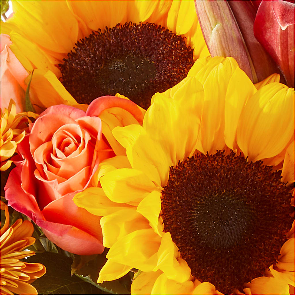Acorn Lane Bouquet –  Exquisite Flowers, Freeport FL
