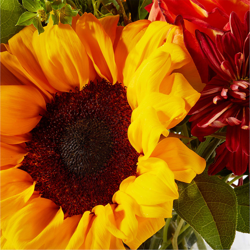 Harvest Festival Bouquet –  Exquisite Flowers, Freeport FL