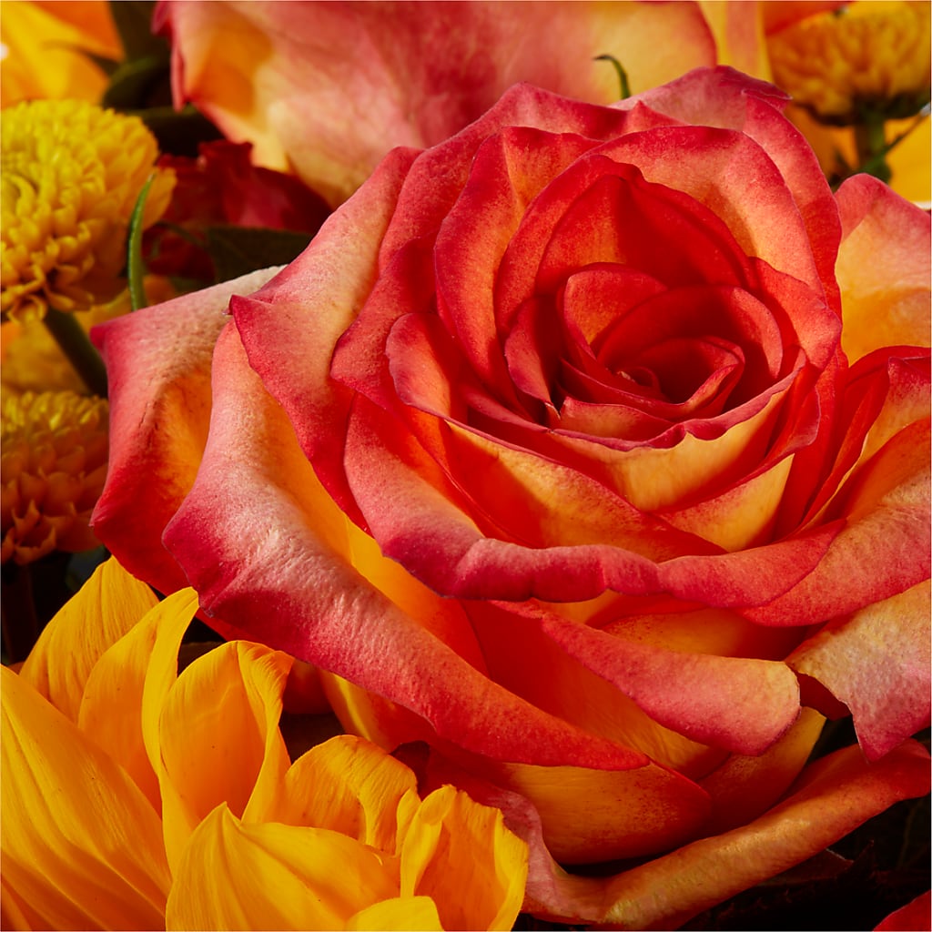 Picnic in the Park Bouquet –  Exquisite Flowers, Freeport FL
