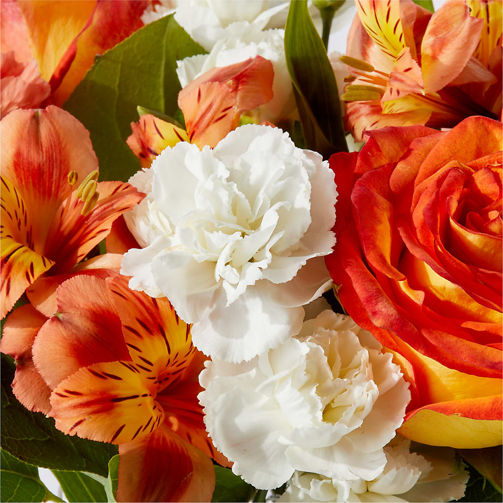 Apricot Glow Bouquet –  Exquisite Flowers, Freeport FL