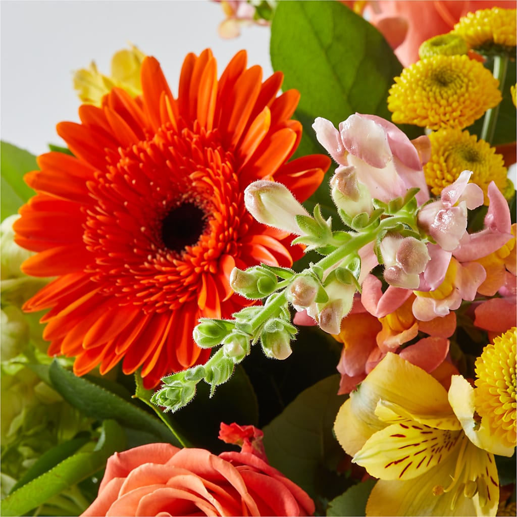 Autumn Sunshine Bouquet –  Exquisite Flowers, Freeport FL