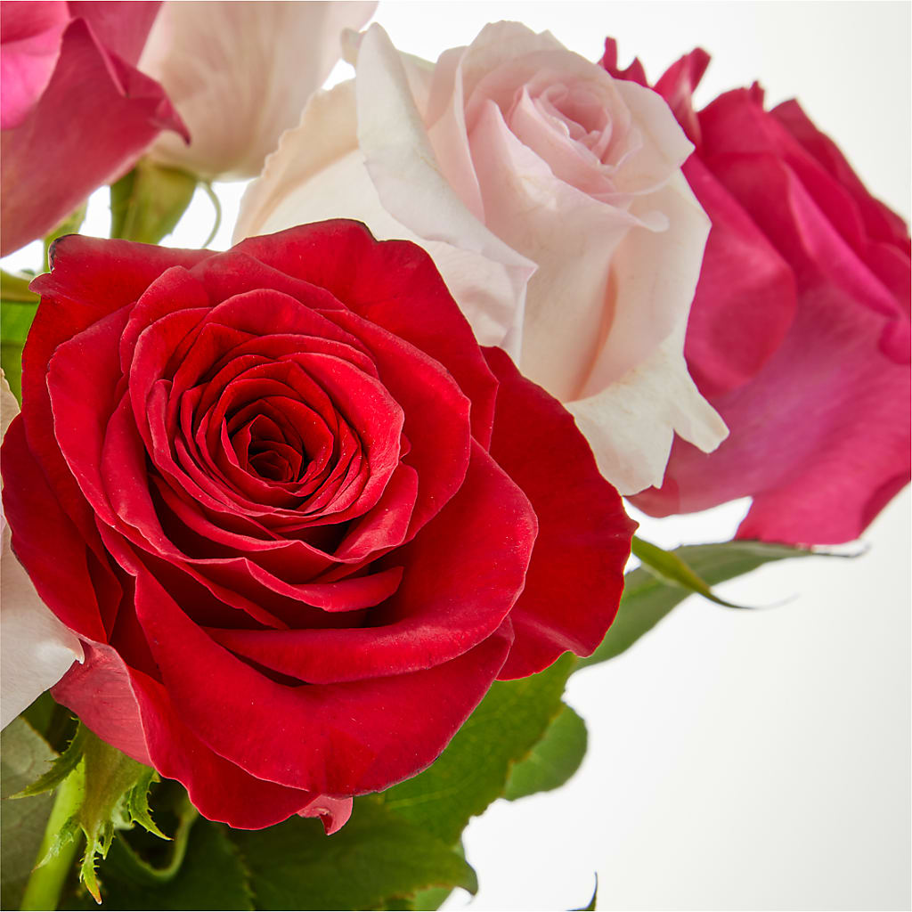 Charming Rose Bouquet –  Exquisite Flowers, Freeport FL