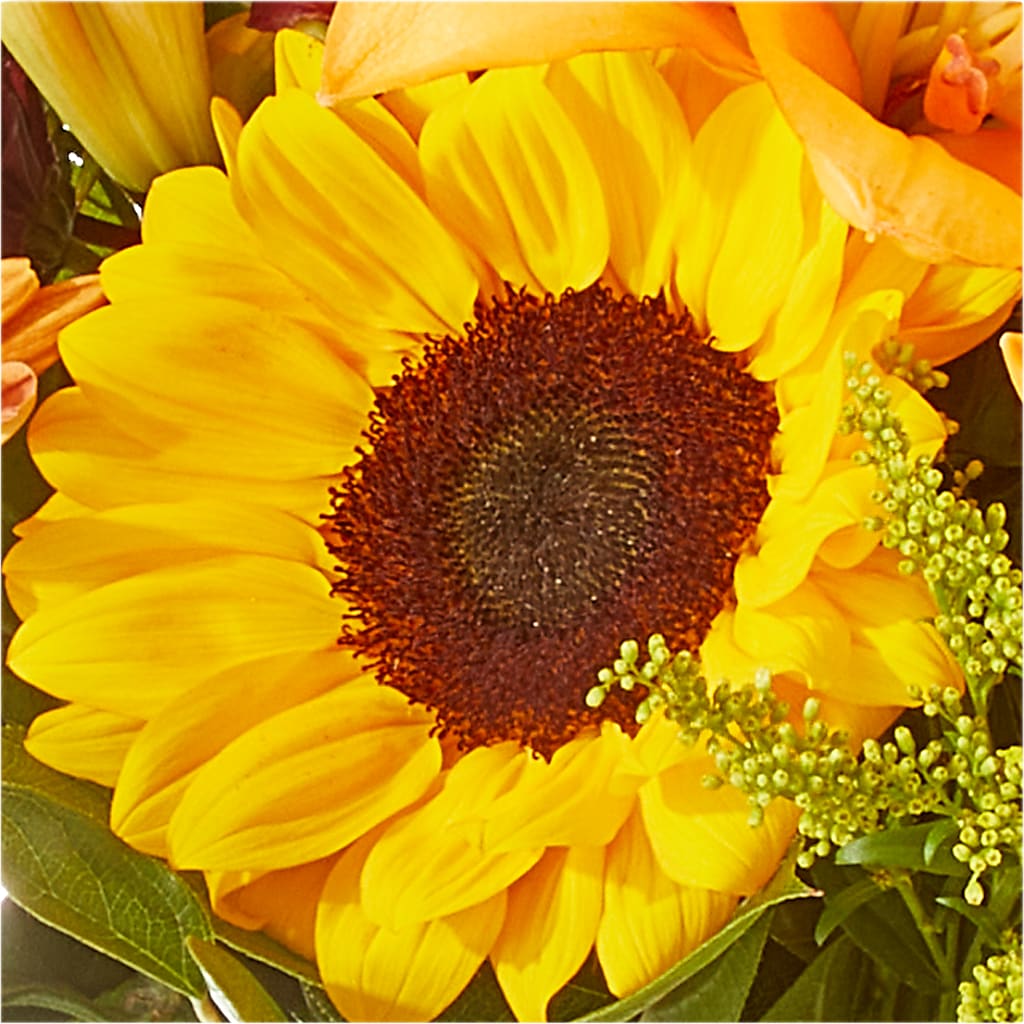 Seasons Change Bouquet –  Exquisite Flowers, Freeport FL