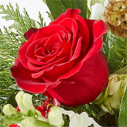 Deck the Halls Bouquet –  Exquisite Flowers, Freeport FL