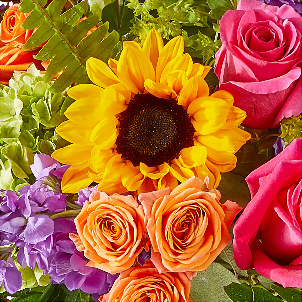 Vibrant Greetings Bouquet –  Exquisite Flowers, Freeport FL