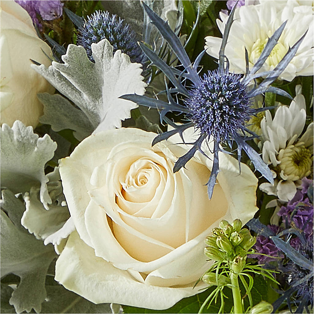 Shooting Star Bouquet –  Exquisite Flowers, Freeport FL