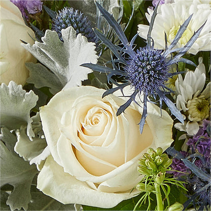 Shooting Star Bouquet –  Exquisite Flowers, Freeport FL