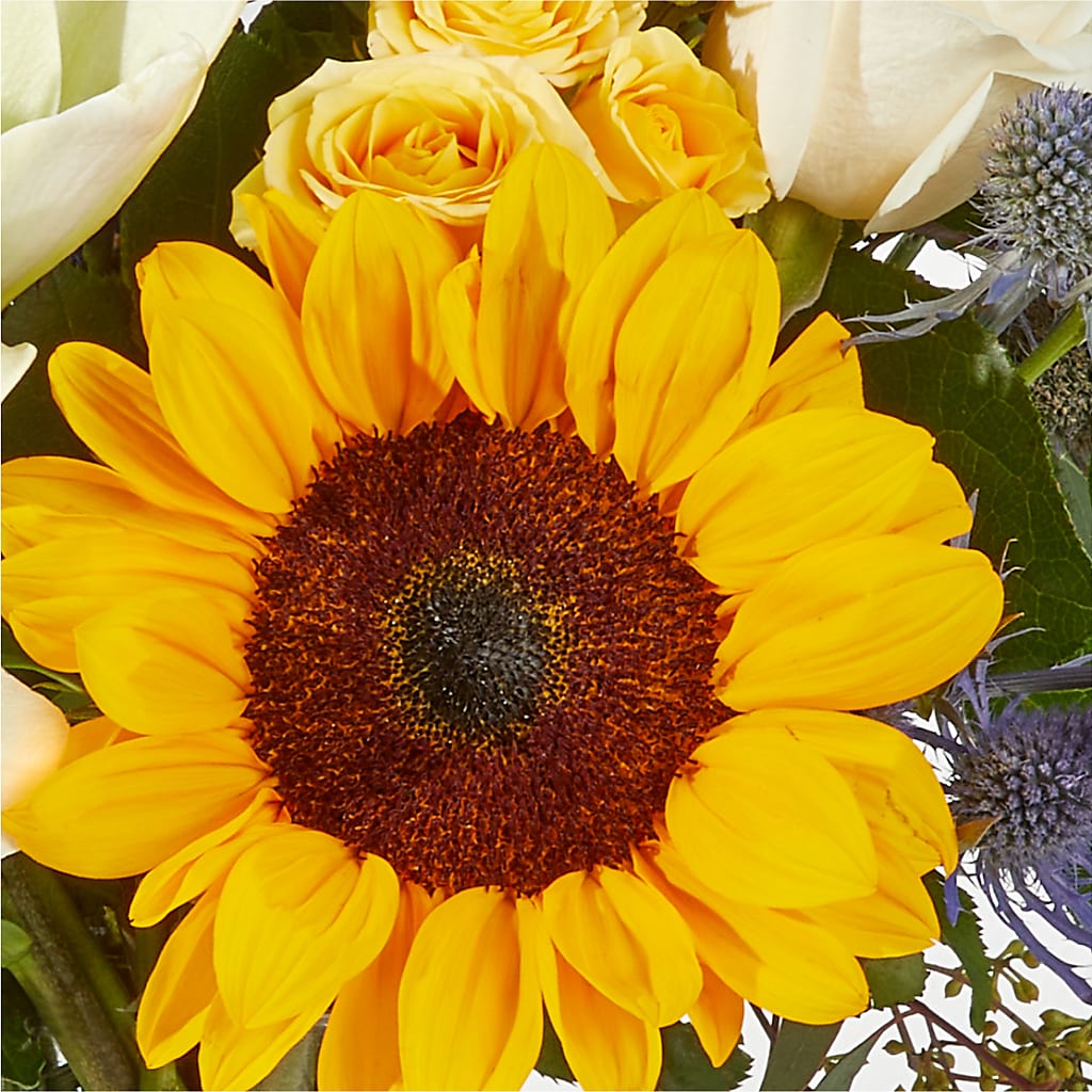 Wonderfully Sunny Bouquet –  Exquisite Flowers, Freeport FL