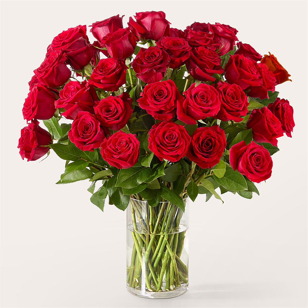 The One Red Rose Bouquet –  Exquisite Flowers, Freeport FL