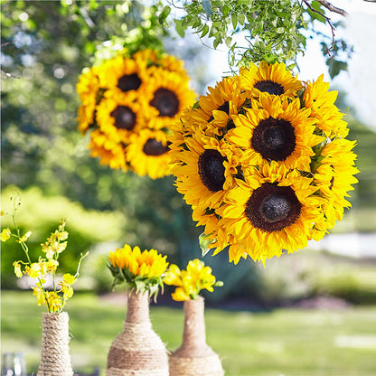 Sublime Garden Hanging Arrangement –  Exquisite Flowers, Freeport FL