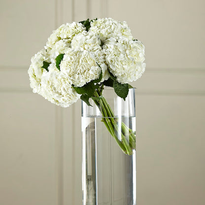 White Hydrangea Hand-Tied Bouquet –  Exquisite Flowers, Freeport FL