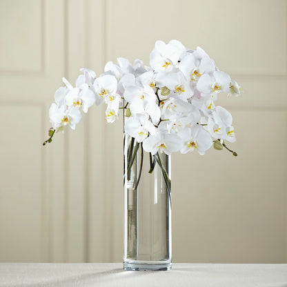 White Phalaenopsis Bouquet –  Exquisite Flowers, Freeport FL